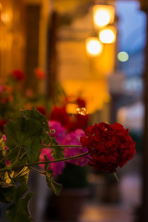 Hotel La Rosa Ronta Kültér fotó